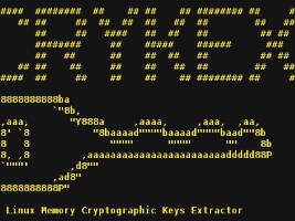Extrair chaves de criptografia na memória em Linux