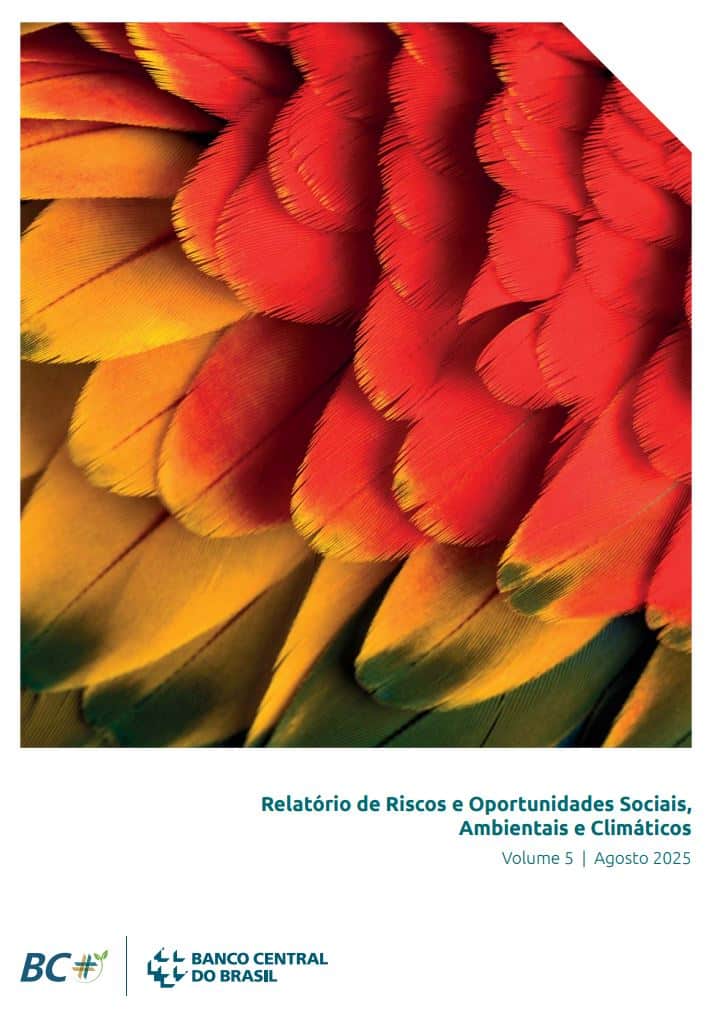 capa-relatorio-riscos-banco-central-2025